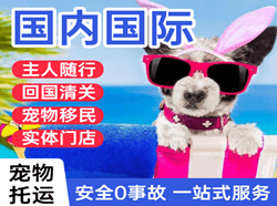 栎社空运代理国际宠物托运 【国